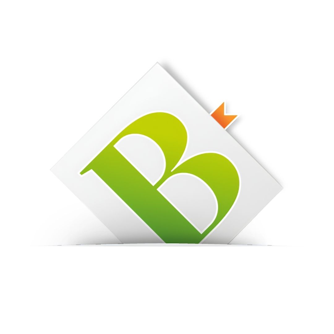 Bernecker Logo